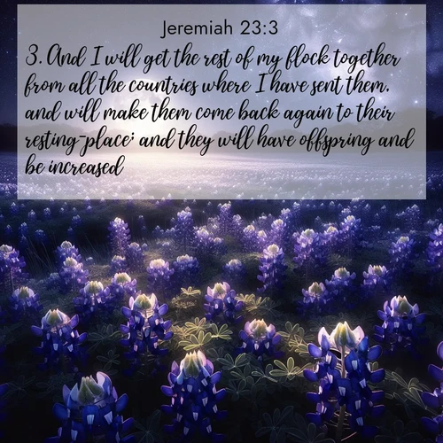 BasicEnglish Jeremiah  ; image nature: image with the bible verse :And I will get the rest of my flock together from all the countries where I have sent them, and will make them come back again to their resting-place; and they will have offspring and be increased. ; Browse a vast collection of Bible verse images featuring awe-inspiring landscapes such as calm lakes, vibrant sunsets, and peaceful fields. Download them for free and enjoy verses like KJV Jeremiah 23:3. Current verse is overlayed with the thematic nature scene : Moonlight illuminates a field of bluebonnets. A warm breeze carries their sweet fragrance across the prairie. ; 23:3