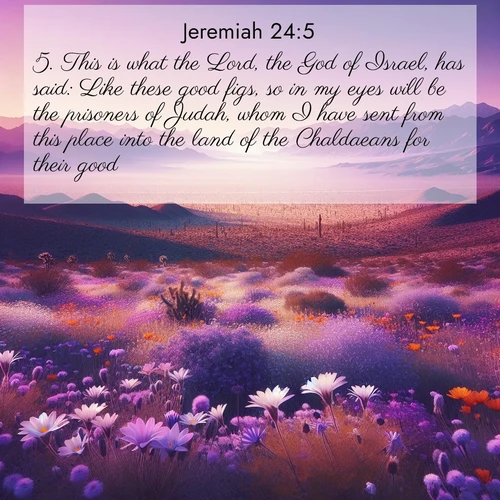 BasicEnglish Jeremiah  ; image nature: image with the bible verse :This is what the Lord, the God of Israel, has said: Like these good figs, so in my eyes will be the prisoners of Judah, whom I have sent from this place into the land of the Chaldaeans for their good. ; Browse Bible images illustrated by desert landscapes, with endless skies, golden dunes, and isolated palm trees. These images evoke the calm and grandeur of God&#039;s creation. Download inspiring verses like KJV Jeremiah 24:5. Current verse is overlayed with the thematic nature scene : Desert wildflowers carpet Death Valley after winter rains. Mountains fade to purple on the horizon. ; 24:5