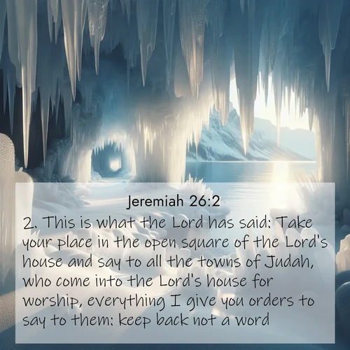 BBE 24 26:2