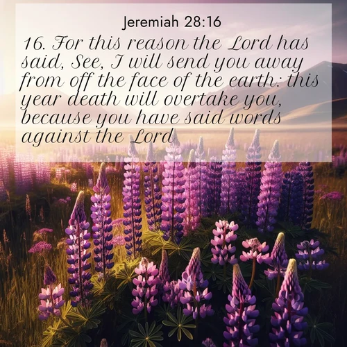 BasicEnglish Jeremiah  ; image nature: image with the bible verse :For this reason the Lord has said, See, I will send you away from off the face of the earth: this year death will overtake you, because you have said words against the Lord. ; Browse our collection of Bible verses paired with captivating photos of God’s creation, like crystal-clear lakes, majestic cliffs, and colorful skies. All images are free for download and sharing. Verse examples include KJV Jeremiah 28:16. Current verse is overlayed with the thematic nature scene : Wild lupines paint purple meadows. Snow lingers on distant peaks. ; 28:16