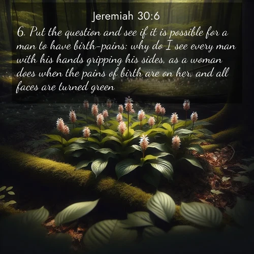 BasicEnglish Jeremiah  ; image nature: image with the bible verse :Put the question and see if it is possible for a man to have birth-pains: why do I see every man with his hands gripping his sides, as a woman does when the pains of birth are on her, and all faces are turned green? ; Browse beautiful Bible verse images accompanied by peaceful scenes like calm seas, ancient forests, and radiant horizons. Download high-quality, free images featuring verses such as KJV Jeremiah 30:6. Current verse is overlayed with the thematic nature scene : Wild ginger blooms hidden in forest shadows. Filtered sunlight reveals their secret beauty. ; 30:6