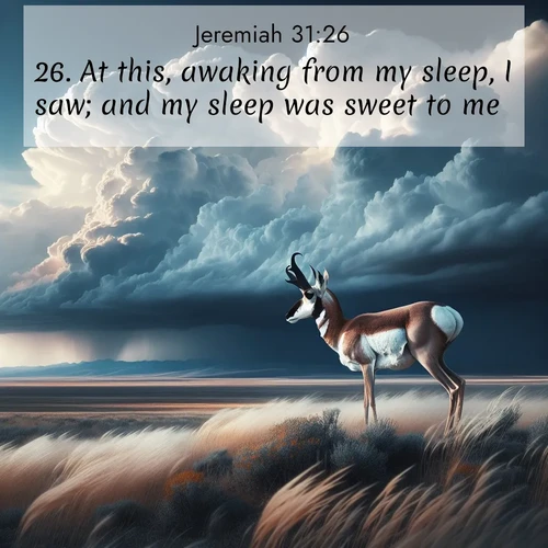 BasicEnglish Jeremiah  ; image nature: image with the bible verse :At this, awaking from my sleep, I saw; and my sleep was sweet to me. ; Access a vast collection of Bible verse images illustrated with natural landscapes like calm rivers, blooming fields, and bright horizons. These images emphasize the serenity and splendor of God&#039;s creation, accompanied by aesthetic fonts and joyful colors. Download verses like KJV Jeremiah 31:26 and share them. Current verse is overlayed with the thematic nature scene : A pronghorn pauses on wind-swept plains. Storm clouds build dark towers above. ; 31:26