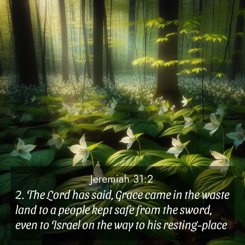 BasicEnglish Jeremiah  ; image nature: image with the bible verse :The Lord has said, Grace came in the waste land to a people kept safe from the sword, even to Israel on the way to his resting-place. ; Dive into our collection of Bible verses paired with breathtaking desert landscapes, featuring infinite dunes, shaded oases, and desert sunsets. These images highlight the majestic grandeur of God&#039;s creation. Download and share verses like KJV Jeremiah 31:2. Current verse is overlayed with the thematic nature scene : Wild trillium carpets the forest floor. Sunlight filters green through new spring leaves. ; 31:2