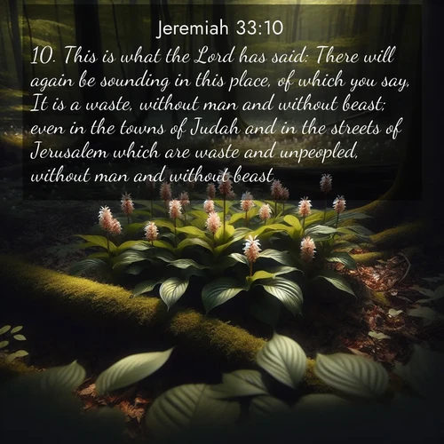 BasicEnglish Jeremiah  ; image nature: image with the bible verse :This is what the Lord has said: There will again be sounding in this place, of which you say, It is a waste, without man and without beast; even in the towns of Judah and in the streets of Jerusalem which are waste and unpeopled, without man and without beast, ; Browse a vast collection of Bible verse images featuring awe-inspiring landscapes such as calm lakes, vibrant sunsets, and peaceful fields. Download them for free and enjoy verses like KJV Jeremiah 33:10. Current verse is overlayed with the thematic nature scene : Wild ginger blooms hidden in forest shadows. Filtered sunlight reveals their secret beauty. ; 33:10