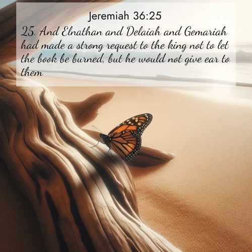 BasicEnglish Jeremiah  ; image nature: image with the bible verse :And Elnathan and Delaiah and Gemariah had made a strong request to the king not to let the book be burned, but he would not give ear to them. ; Discover Bible images capturing the splendor of deserts, with golden dunes, vast skies, and peaceful oases. These landscapes highlight the grandeur and serenity of God&#039;s creation. Share verses like KJV Jeremiah 36:25. Current verse is overlayed with the thematic nature scene : A single monarch butterfly alights on a sun-bleached driftwood log. Waves crash endlessly on the empty beach beyond. ; 36:25