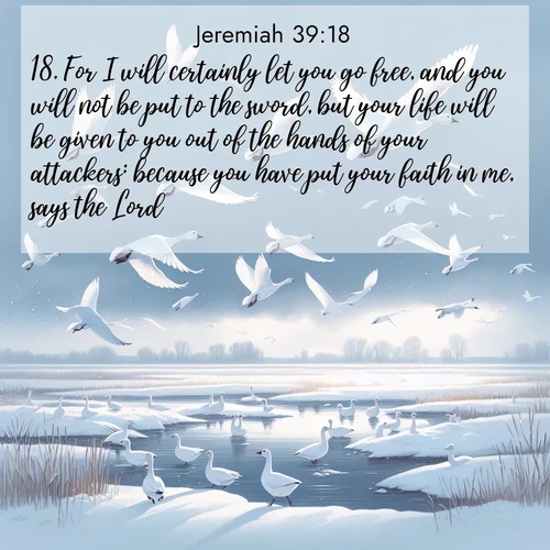 BasicEnglish Jeremiah  ; image nature: image with the bible verse :For I will certainly let you go free, and you will not be put to the sword, but your life will be given to you out of the hands of your attackers: because you have put your faith in me, says the Lord. ; Discover tranquil Bible verse images enhanced with natural scenery like rippling brooks, snow-covered fields, and sunlit beaches. These free images are perfect for wallpapers or spiritual reflection. Share KJV Jeremiah 39:18. Current verse is overlayed with the thematic nature scene : Snow geese take flight from a winter marsh. Their wings flash white against leaden skies. ; 39:18
