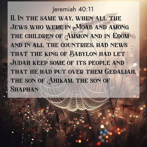 BasicEnglish Jeremiah  ; image nature: image with the bible verse :In the same way, when all the Jews who were in Moab and among the children of Ammon and in Edom and in all the countries, had news that the king of Babylon had let Judah keep some of its people and that he had put over them Gedaliah, the son of Ahikam, the son of Shaphan; ; Discover our unique collection of Bible verse images integrated with photos showcasing the majesty of nature, such as rocky mountains, ancient trees, and crystal-clear lakes. These images feature luminous colors and text in varied fonts, reflecting the harmony of God&#039;s creation. Download verses like KJV Jeremiah 40:11. Current verse is overlayed with the thematic nature scene : Morning fog reveals spider galaxies. Dew drops capture rainbow light. ; 40:11