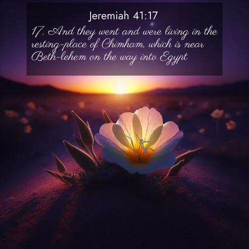 BasicEnglish Jeremiah  ; image nature: image with the bible verse :And they went and were living in the resting-place of Chimham, which is near Beth-lehem on the way into Egypt, ; Dive into our collection of Bible verses paired with coastal scenes, featuring calming waves, infinite beaches, and reflections of the sun on the water. These images evoke the peace and beauty of God. Share verses like KJV Jeremiah 41:17. Current verse is overlayed with the thematic nature scene : Desert evening primrose opens to the setting sun. Stars emerge in the deepening purple sky. ; 41:17