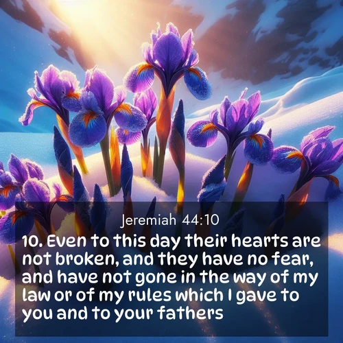 BasicEnglish Jeremiah  ; image nature: image with the bible verse :Even to this day their hearts are not broken, and they have no fear, and have not gone in the way of my law or of my rules which I gave to you and to your fathers. ; Discover inspiring Bible verse images featuring natural wonders like lush forests, sunny horizons, and cascading waterfalls. Perfect for wallpapers or spiritual encouragement. Download verses like KJV Jeremiah 44:10. Current verse is overlayed with the thematic nature scene : Wild iris blooms pierce through melting snow. Alpine sunlight ignites their petals. ; 44:10