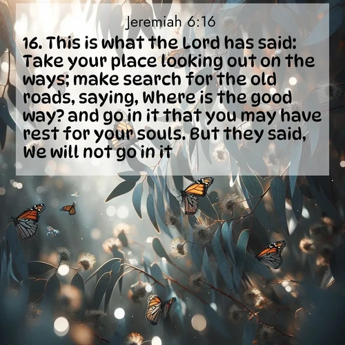 BBE Jeremiah 6:16 overlaying nature image scene: Monarch butterflies cluster on eucalyptus branches in winter sun.;16. This is what the Lord has said: Take your place looking out on the ways; make search for the old roads, saying, Where is the good way? and go in it that you may have rest for your souls. But they said, We will not go in it.