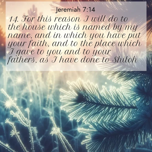 BBE Jeremiah 7:14 overlaying nature image scene: Morning frost rimes every needle. Weak sun struggles through branches.;14. For this reason I will do to the house which is named by my name, and in which you have put your faith, and to the place which I gave to you and to your fathers, as I have done to Shiloh.
