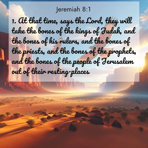 BBE 24 8:1