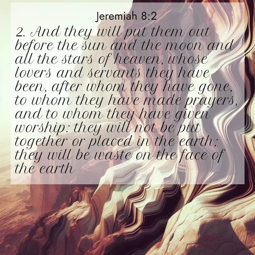 BBE 24 8:2