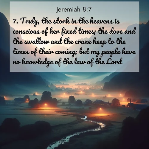 BBE Jeremiah 8:7 overlaying nature image scene: Morning mist rises from valley streams. Birdsong heralds the dawn chorus.;7. Truly, the stork in the heavens is conscious of her fixed times; the dove and the swallow and the crane keep to the times of their coming; but my people have no knowledge of the law of the Lord.