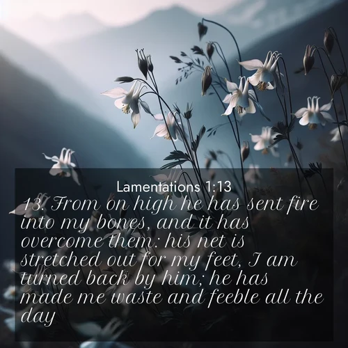 BasicEnglish Lamentations  ; image nature: image with the bible verse :From on high he has sent fire into my bones, and it has overcome them: his net is stretched out for my feet, I am turned back by him; he has made me waste and feeble all the day. ; Explore a collection of inspiring Bible verse images accompanied by winter photos, such as snowy landscapes, frosted trees, and frozen lakes. These images reflect the peace and purity of God&#039;s creation, with elegant fonts and luminous colors. Download and share verses like KJV Lamentations 1:13. Current verse is overlayed with the thematic nature scene : Wild columbines dance in breeze. Mountain air carries their perfume. ; 1:13
