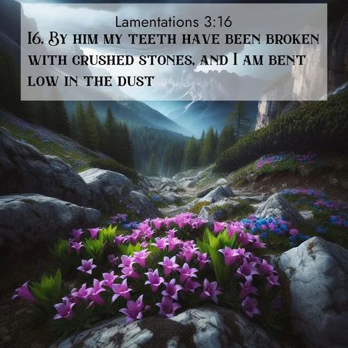 BasicEnglish Lamentations  ; image nature: image with the bible verse :By him my teeth have been broken with crushed stones, and I am bent low in the dust. ; Discover Bible verses beautifully integrated with natural scenes of varied seasons, featuring summer skies, winter snow, autumn leaves, and spring blooms. Each image captures the splendor and peace of God&#039;s creation. Share verses like KJV Lamentations 3:16. Current verse is overlayed with the thematic nature scene : Alpine gentians bloom in rocky crevices. Summer storms gather above treeline. ; 3:16