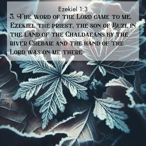 BBE 26 1:3