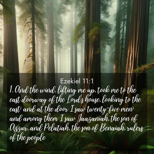 BBE 26 11:1
