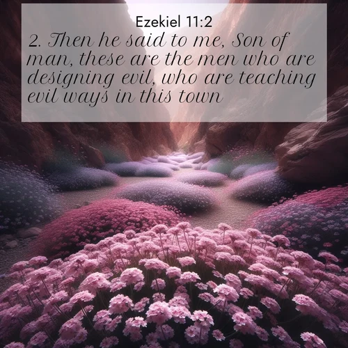 BBE 26 11:2