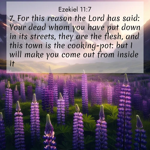 BBE Ezekiel 11:7 overlaying nature image scene: Wild lupines paint mountain meadows purple. Snow lingers on distant peaks.;7. For this reason the Lord has said: Your dead whom you have put down in its streets, they are the flesh, and this town is the cooking-pot: but I will make you come out from inside it.
