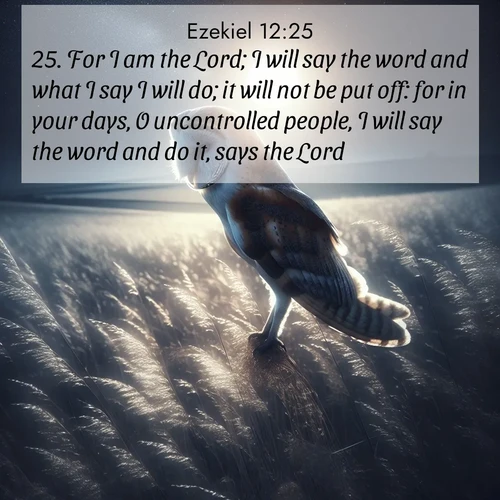 BBE Ezekiel 12:25 overlaying nature image scene: A barn owl quarters silent fields. Moonlight turns meadow grass to silver.;25. For I am the Lord; I will say the word and what I say I will do; it will not be put off: for in your days, O uncontrolled people, I will say the word and do it, says the Lord.