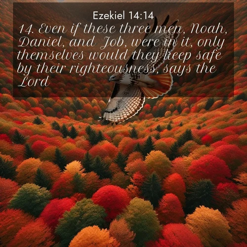 BasicEnglish Ezekiel  ; image nature: image with the bible verse :Even if these three men, Noah, Daniel, and Job, were in it, only themselves would they keep safe by their righteousness, says the Lord. ; Explore our vast collection of images featuring beautifully illustrated Bible verses accompanied by nature photos. Discover inspiring and motivating verses paired with soothing landscapes, like shimmering lakes, majestic mountains, and lush forests. Our images highlight the peaceful beauty of God&#039;s creation with vibrant colors and varied fonts. Download and share verse images like KJV Ezekiel 14:14. Current verse is overlayed with the thematic nature scene : A red-tailed hawk circles above autumn woods. Leaves below form a mosaic of fire. ; 14:14
