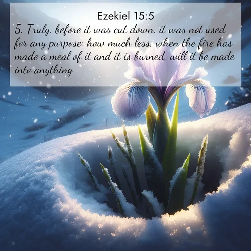 BasicEnglish Ezekiel  ; image nature: image with the bible verse :Truly, before it was cut down, it was not used for any purpose: how much less, when the fire has made a meal of it and it is burned, will it be made into anything? ; Explore our gallery of inspiring Bible verse images showcasing divine beauty through nature. Download scenic images like snowy peaks, lush meadows, or radiant sunsets paired with verses like KJV Ezekiel 15:5. Current verse is overlayed with the thematic nature scene : Wild iris breaks through spring snow. Alpine light ignites petals. ; 15:5