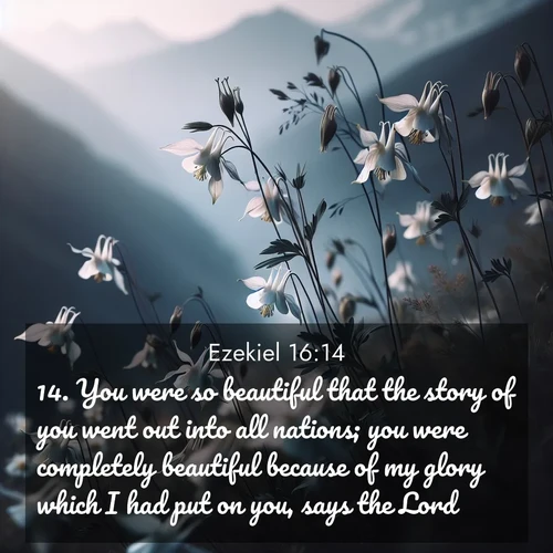 BasicEnglish Ezekiel  ; image nature: image with the bible verse :You were so beautiful that the story of you went out into all nations; you were completely beautiful because of my glory which I had put on you, says the Lord. ; Browse an inspiring gallery of Bible verse images with nature photos, such as blooming gardens, golden deserts, and shaded forests. The chosen images capture the peaceful and joyful essence of God&#039;s creation, with vibrant colors and harmonious fonts. Share verses like KJV Ezekiel 16:14. Current verse is overlayed with the thematic nature scene : Wild columbines dance in breeze. Mountain air carries their perfume. ; 16:14