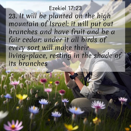 BasicEnglish Ezekiel  ; image nature: image with the bible verse :It will be planted on the high mountain of Israel: it will put out branches and have fruit and be a fair cedar: under it all birds of every sort will make their living-place, resting in the shade of its branches. ; Discover our unique collection of Bible verse images integrated with photos showcasing the majesty of nature, such as rocky mountains, ancient trees, and crystal-clear lakes. These images feature luminous colors and text in varied fonts, reflecting the harmony of God&#039;s creation. Download verses like KJV Ezekiel 17:23. Current verse is overlayed with the thematic nature scene : A naturalist photographs rare blooms. Alpine winds toss wildflower meadows. ; 17:23