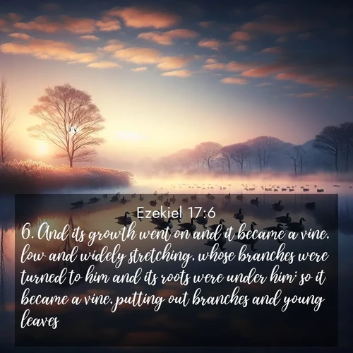 BasicEnglish Ezekiel  ; image nature: image with the bible verse :And its growth went on and it became a vine, low and widely stretching, whose branches were turned to him and its roots were under him: so it became a vine, putting out branches and young leaves. ; Explore an exceptional collection of Bible verse images accompanied by photos of nature, showcasing snowy mountains, serene forests, and still lakes. These images feature luminous tones and varied fonts to bring serenity and inspiration. Share uplifting verses like KJV Ezekiel 17:6. Current verse is overlayed with the thematic nature scene : Wild geese rest on still waters. Dawn mist rises like dreams. ; 17:6