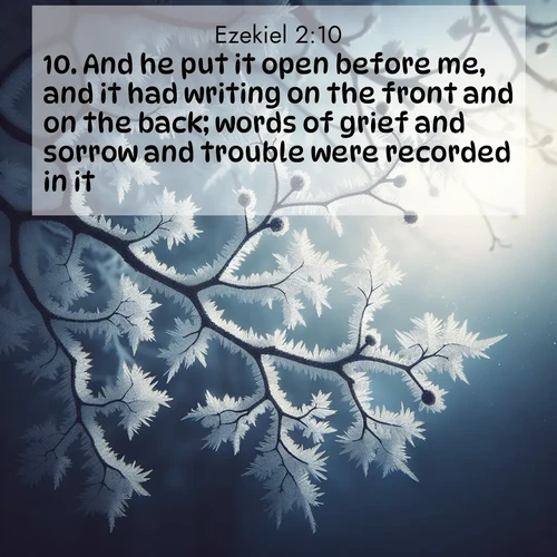 BasicEnglish Ezekiel  ; image nature: image with the bible verse :And he put it open before me, and it had writing on the front and on the back; words of grief and sorrow and trouble were recorded in it. ; Download stunning Bible verse images paired with nature scenes like rolling clouds, sparkling waters, and vibrant flower fields. These free images are perfect for spiritual reflection or wallpaper use. Share KJV Ezekiel 2:10. Current verse is overlayed with the thematic nature scene : Winter frost coats bare branches in delicate crystal. ; 2:10
