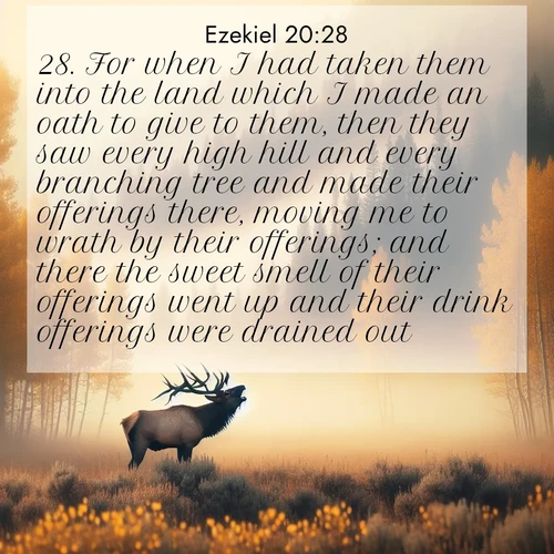 BBE Ezekiel 20:28 overlaying nature image scene: A bull elk bugles across a misty valley. Aspen leaves quake golden in response.;28. For when I had taken them into the land which I made an oath to give to them, then they saw every high hill and every branching tree and made their offerings there, moving me to wrath by their offerings; and there the sweet smell of their offerings went up and their drink offerings were drained out.