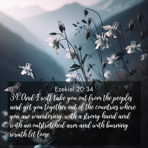 BBE Ezekiel 20:34 overlaying nature image scene: Wild columbines dance in breeze. Mountain air carries their perfume.;34. And I will take you out from the peoples and get you together out of the countries where you are wandering, with a strong hand and with an outstretched arm and with burning wrath let loose:
