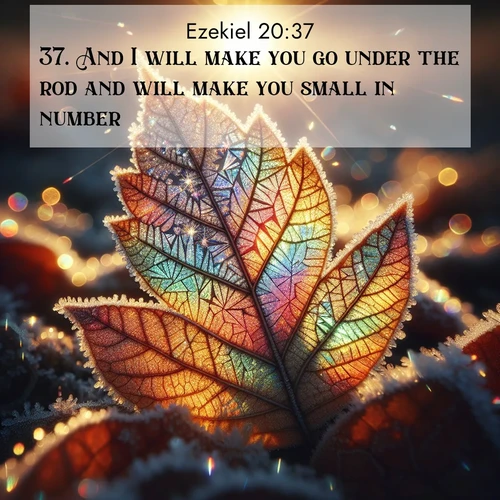 BBE Ezekiel 20:37 overlaying nature image scene: Frost crystals form intricate patterns on a fallen leaf. Morning sun transforms them into rainbow prisms.;37. And I will make you go under the rod and will make you small in number: