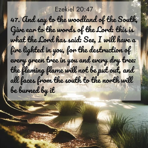 BBE Ezekiel 20:47 overlaying nature image scene: Summer afternoon light filters through Spanish moss in a bayou.;47. And say to the woodland of the South, Give ear to the words of the Lord: this is what the Lord has said: See, I will have a fire lighted in you, for the destruction of every green tree in you and every dry tree: the flaming flame will not be put out, and all faces from the south to the north will be burned by it.
