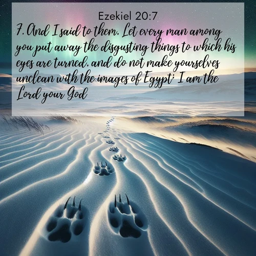 BBE Ezekiel 20:7 overlaying nature image scene: Arctic fox tracks cross windswept tundra. Northern lights pulse overhead in cosmic rhythm.;7. And I said to them, Let every man among you put away the disgusting things to which his eyes are turned, and do not make yourselves unclean with the images of Egypt; I am the Lord your God.
