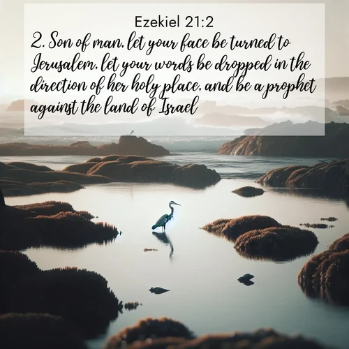 BasicEnglish Ezekiel  ; image nature: image with the bible verse :Son of man, let your face be turned to Jerusalem, let your words be dropped in the direction of her holy place, and be a prophet against the land of Israel; ; Discover Bible images adorned with spring landscapes, like tulip fields, cherry blossoms, and green hills. These bright scenes symbolize God&#039;s renewal and grace. Download verses like KJV Ezekiel 21:2. Current verse is overlayed with the thematic nature scene : A great blue heron fishes in tidal pools. Waves crash on distant reefs. ; 21:2