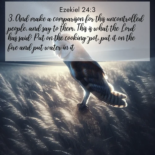 BBE 26 24:3