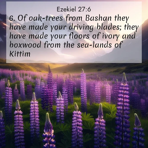 BasicEnglish Ezekiel  ; image nature: image with the bible verse :Of oak-trees from Bashan they have made your driving blades; they have made your floors of ivory and boxwood from the sea-lands of Kittim. ; Explore Bible verses combined with serene beach photos, desert dunes, and infinite skies, highlighting God&#039;s majesty in every landscape. Download and share inspiring verses like KJV Ezekiel 27:6. Current verse is overlayed with the thematic nature scene : Wild lupines paint mountain meadows purple. Snow lingers on distant peaks. ; 27:6