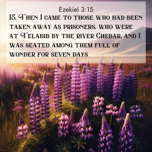 BasicEnglish Ezekiel  ; image nature: image with the bible verse :Then I came to those who had been taken away as prisoners, who were at Telabib by the river Chebar, and I was seated among them full of wonder for seven days. ; Browse our collection of vibrant Bible verse images set against calming backdrops like tropical shores, quiet woods, and majestic mountains. Download free wallpapers featuring KJV Ezekiel 3:15. Current verse is overlayed with the thematic nature scene : Wild lupines paint purple meadows. Snow lingers on distant peaks. ; 3:15