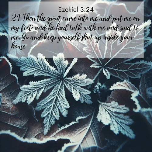 BasicEnglish Ezekiel  ; image nature: image with the bible verse :Then the spirit came into me and put me on my feet; and he had talk with me and said to me, Go and keep yourself shut up inside your house. ; Browse a gallery of Bible verses paired with summer scenes, such as golden wheat fields, bright skies, and sunny beaches. These images convey the joy and warmth of God&#039;s creation. Download and share verses like KJV Ezekiel 3:24. Current verse is overlayed with the thematic nature scene : Winter frost creates delicate patterns on fallen leaves. ; 3:24