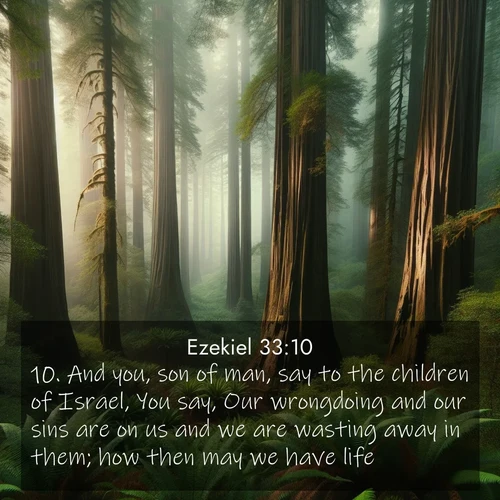 BasicEnglish Ezekiel  ; image nature: image with the bible verse :And you, son of man, say to the children of Israel, You say, Our wrongdoing and our sins are on us and we are wasting away in them; how then may we have life? ; Explore a collection of free Bible verse images paired with serene landscapes like golden beaches, verdant forests, and clear blue skies. Each image is ideal for desktop or phone wallpapers. Share verses like KJV Ezekiel 33:10. Current verse is overlayed with the thematic nature scene : Coastal redwoods disappear into the fog high above a fern grove. ; 33:10