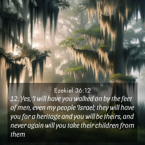 BasicEnglish Ezekiel  ; image nature: image with the bible verse :Yes, I will have you walked on by the feet of men, even my people Israel; they will have you for a heritage and you will be theirs, and never again will you take their children from them. ; Admire stunning Bible verse images paired with photos of peaceful landscapes, such as foggy mornings, serene rivers, and blooming gardens. Download these free images and share verses like KJV Ezekiel 36:12. Current verse is overlayed with the thematic nature scene : Moss-draped cypress trees emerge from morning fog. Spanish moss sways like ancient lace. ; 36:12