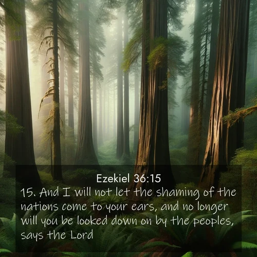 BasicEnglish Ezekiel  ; image nature: image with the bible verse :And I will not let the shaming of the nations come to your ears, and no longer will you be looked down on by the peoples, says the Lord. ; Explore Bible verses paired with beach photos, where waves gently crash on the sand and the sky glows with pastel hues at sunset. These scenes convey deep serenity. Download verses like KJV Ezekiel 36:15. Current verse is overlayed with the thematic nature scene : Coastal redwoods disappear into the fog high above a fern grove. ; 36:15