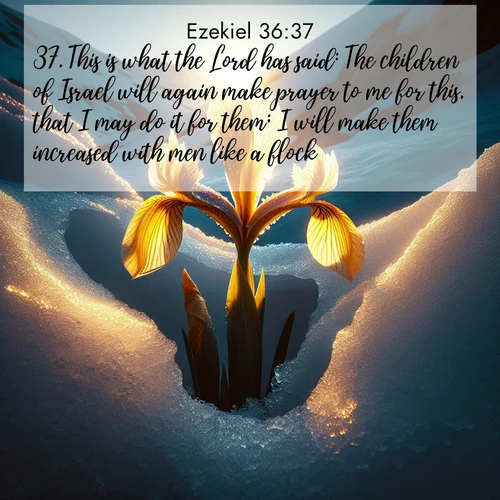BasicEnglish Ezekiel  ; image nature: image with the bible verse :This is what the Lord has said: The children of Israel will again make prayer to me for this, that I may do it for them; I will make them increased with men like a flock. ; Explore an exceptional collection of Bible verse images accompanied by photos of nature, showcasing snowy mountains, serene forests, and still lakes. These images feature luminous tones and varied fonts to bring serenity and inspiration. Share uplifting verses like KJV Ezekiel 36:37. Current verse is overlayed with the thematic nature scene : Wild iris breaks through melting snow. Alpine light ignites its petals. ; 36:37