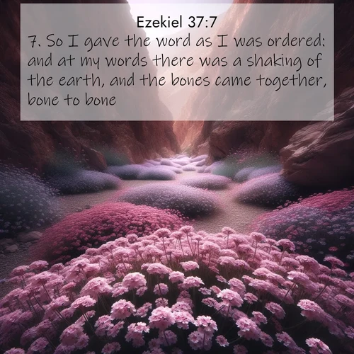 BasicEnglish Ezekiel  ; image nature: image with the bible verse :So I gave the word as I was ordered: and at my words there was a shaking of the earth, and the bones came together, bone to bone. ; Browse Bible images illustrated by desert landscapes, with endless skies, golden dunes, and isolated palm trees. These images evoke the calm and grandeur of God&#039;s creation. Download inspiring verses like KJV Ezekiel 37:7. Current verse is overlayed with the thematic nature scene : Desert verbena carpets hidden canyons. Flash flood waters carved these gardens. ; 37:7