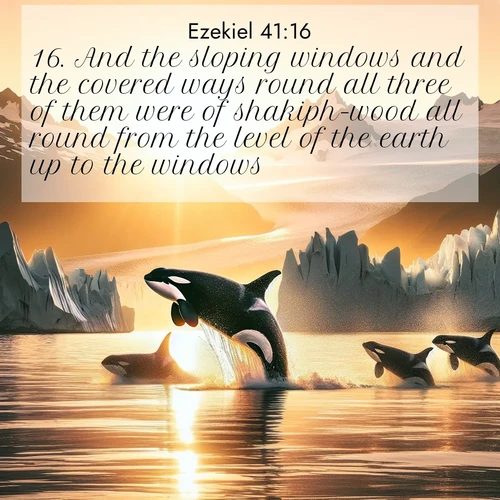 BasicEnglish Ezekiel  ; image nature: image with the bible verse :And the sloping windows and the covered ways round all three of them were of shakiph-wood all round from the level of the earth up to the windows; ; Discover Bible images capturing the essence of autumn, with wooded paths, golden fields, and swirling leaves. These scenes reflect the changing beauty of God&#039;s creation. Download verses like KJV Ezekiel 41:16. Current verse is overlayed with the thematic nature scene : Wild orcas breach in sunset-painted waters. Their splashes echo off glacier walls. ; 41:16