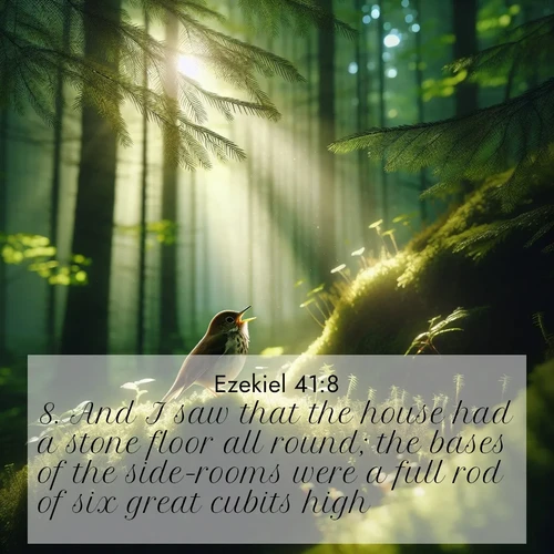 BasicEnglish Ezekiel  ; image nature: image with the bible verse :And I saw that the house had a stone floor all round; the bases of the side-rooms were a full rod of six great cubits high. ; Admire Bible images evoking autumn, with warm colors of fallen leaves, harvested fields, and tranquil woods. These inspiring landscapes reflect the transition and beauty of God&#039;s creation. Download verses like KJV Ezekiel 41:8. Current verse is overlayed with the thematic nature scene : A hermit thrush sings from deep woods. Sunlight filters through green canopy. ; 41:8