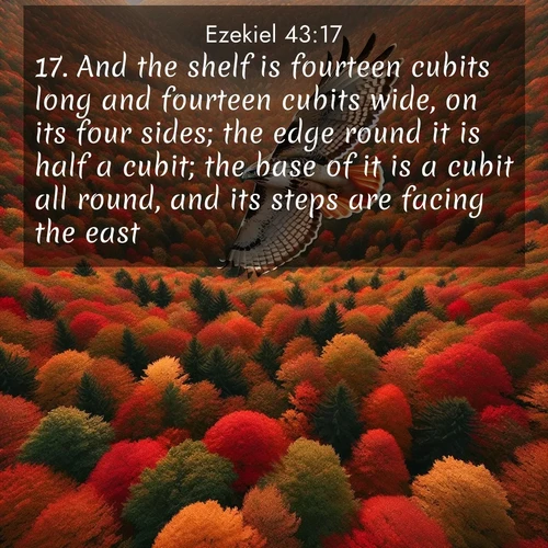 BasicEnglish Ezekiel  ; image nature: image with the bible verse :And the shelf is fourteen cubits long and fourteen cubits wide, on its four sides; the edge round it is half a cubit; the base of it is a cubit all round, and its steps are facing the east. ; Explore beautiful Bible verse images paired with serene natural settings, such as calm seas, snowy paths, and verdant hills. Each image is free to download for your spiritual inspiration. Share KJV Ezekiel 43:17. Current verse is overlayed with the thematic nature scene : A red-tailed hawk circles above autumn woods. Leaves below form a mosaic of fire. ; 43:17