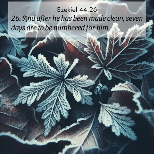 BasicEnglish Ezekiel  ; image nature: image with the bible verse :And after he has been made clean, seven days are to be numbered for him. ; Admire Bible verse images capturing the beauty of beaches, with turquoise waters, palm trees, and peaceful shores. These soothing scenes reflect God&#039;s serenity and majesty. Download and share verses like KJV Ezekiel 44:26. Current verse is overlayed with the thematic nature scene : Winter frost creates delicate patterns on fallen leaves. ; 44:26